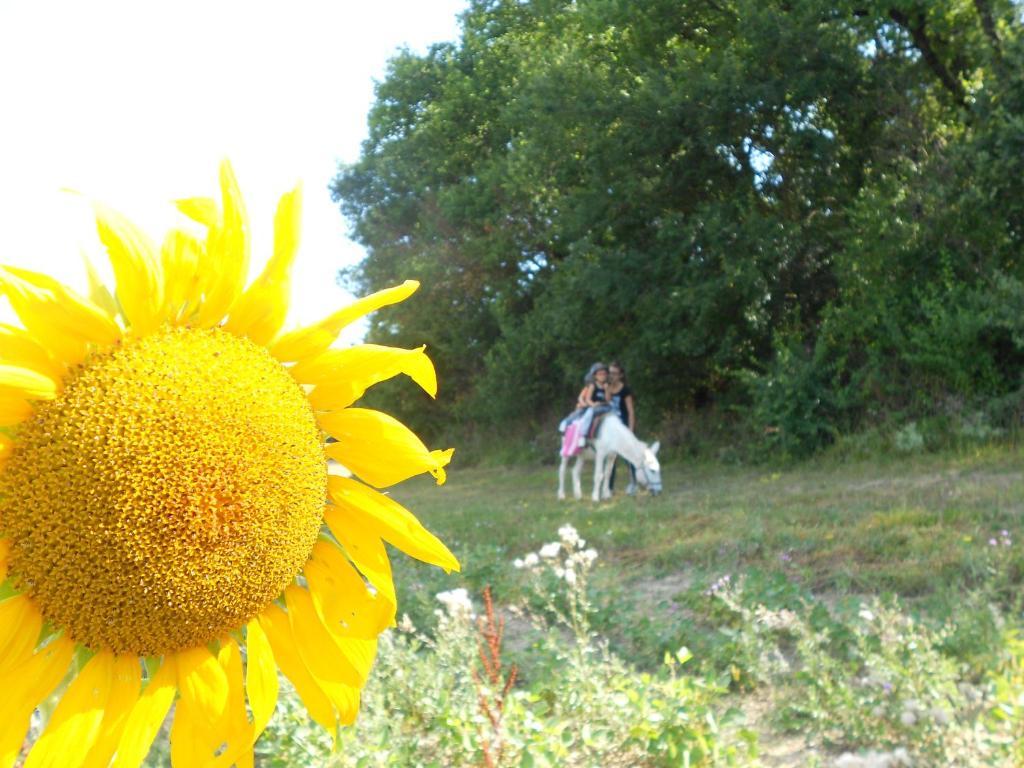 Domaine Jardin D'En Naoua Bed and Breakfast Maubec  Buitenkant foto